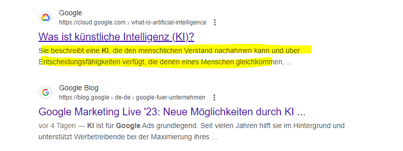 Google Meta Description Beispiel